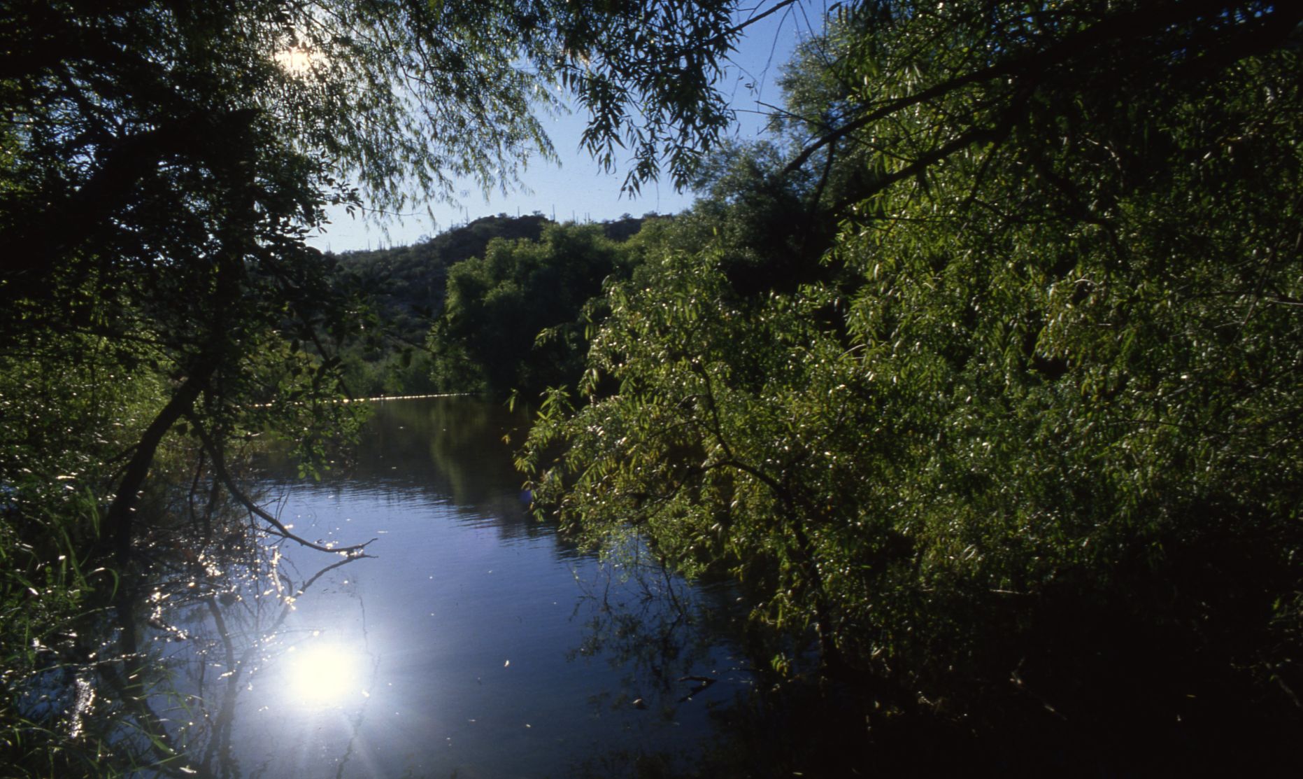Sabino Canyon Recreation Area, Tucson